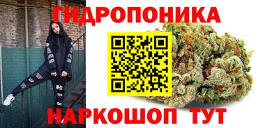 спайс Аша