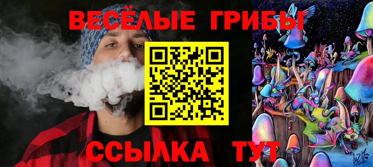 Галлюциногенные грибы Psilocybine cubensis  Псилоцибиновые грибы мухоморы  Железногорск  Вход с VPN 